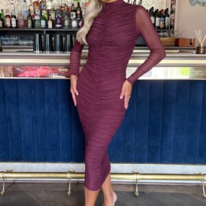Plum High Neck Long Sleeve Ruched Bodycon Mesh Midi Dress